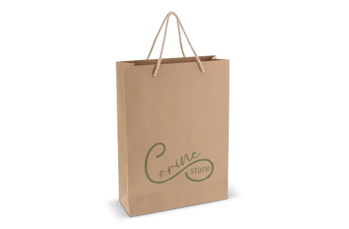 Sac cadeau en papier 120g/m² 24x12x33cm