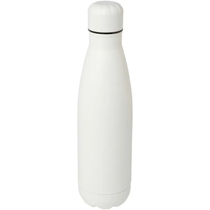 Cove vacuüm geïsoleerde roestvrijstalen fles van 500 ml