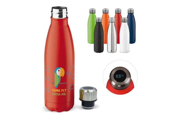 Thermo bottle Swing with temperature display 500ml